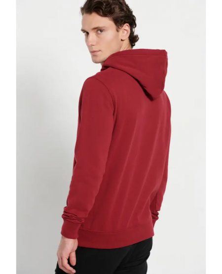 FUNKY BUDDHA Φούτερ με κουκούλα και 3D Funky Buddha τύπωμα FBM008-051-06 GRANBERRY