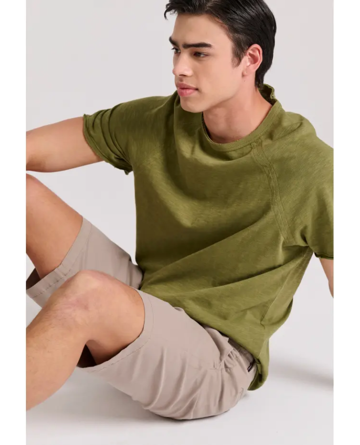 FUNKY BUDDHA Men's chino shorts - The...