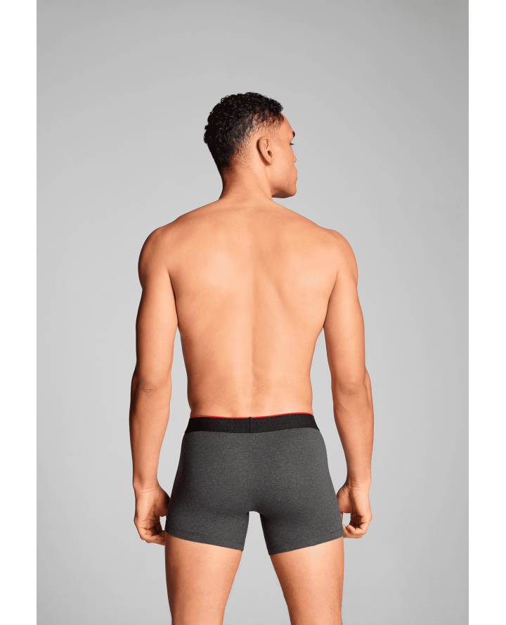 LEVI'S® ΑΝΔΡΙΚΑ ΜΠΟΞΕΡΑΚΙΑ 2-PACK...