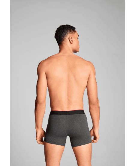 LEVI'S® MENS BOXER BRIEF 2-PACK 37149-1013