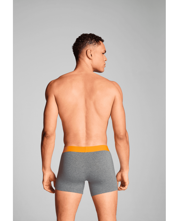 LEVI'S® MENS BOXER BRIEF 2-PACK...