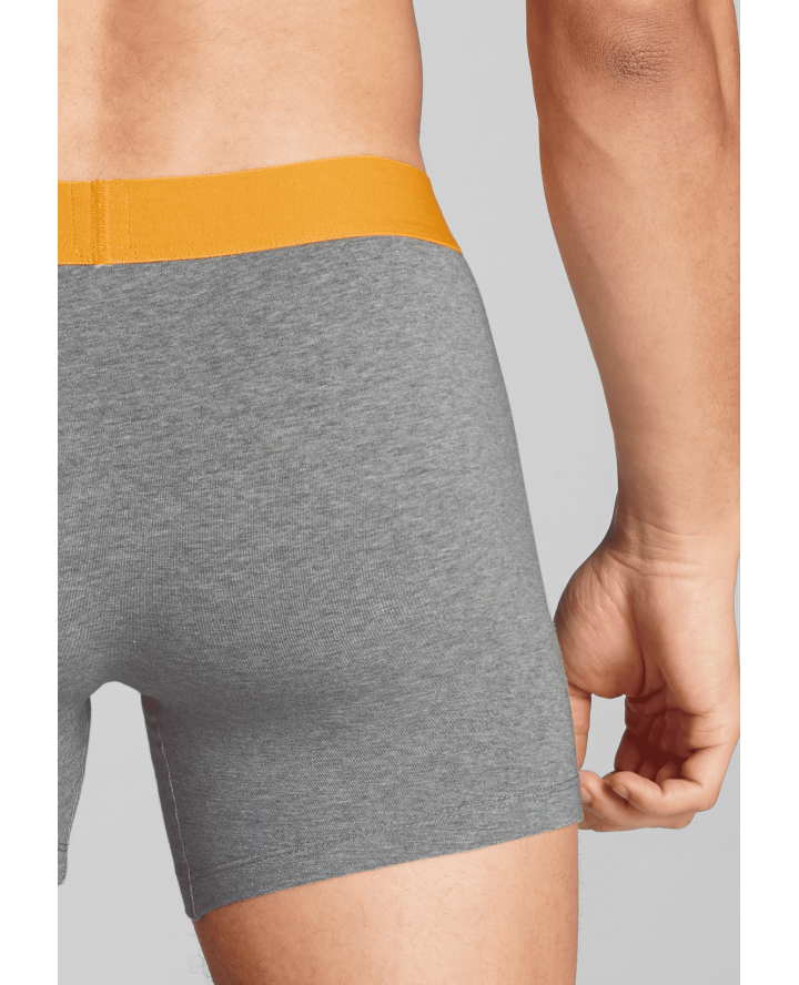 LEVI'S® ΑΝΔΡΙΚΑ ΜΠΟΞΕΡΑΚΙΑ 2-PACK...