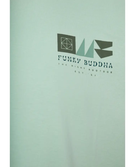 FUNKY BUDDHA Organic cotton relaxed t-shirt με abstract τύπωμα FBM011-322-04 MINT