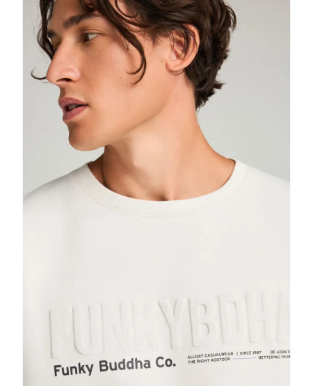 FUNKY BUDDHA Men's crewneck sweatshirt with printed logo FBM012-008-06 MIST