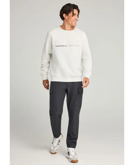 FUNKY BUDDHA Men's crewneck sweatshirt with printed logo FBM012-008-06 MIST