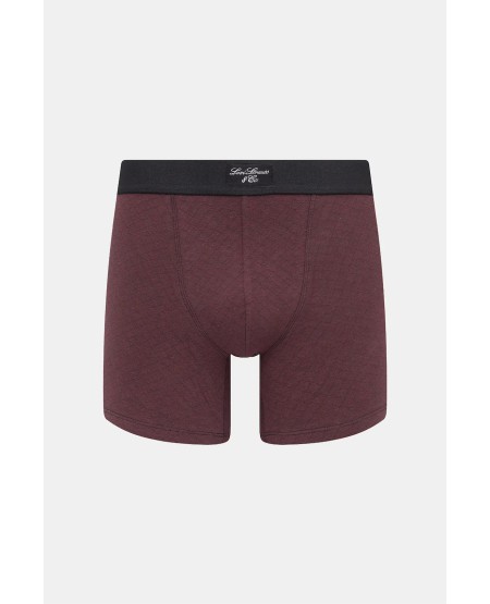 LEVI'S® ΑΝΔΡΙΚΑ ΜΠΟΞΕΡΑΚΙΑ 2-PACK 37149-1176