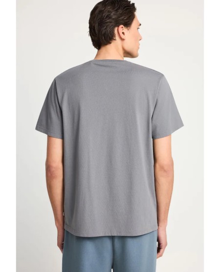 FUNKY BUDDHA Men's cotton t-shirt with print FBM013-011-04 STEEL GREY