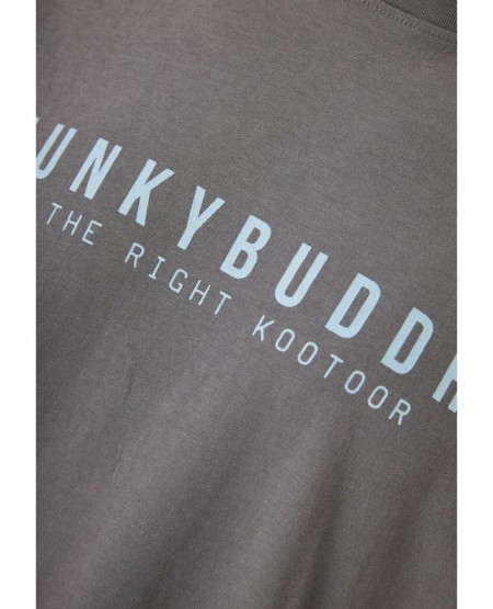 FUNKY BUDDHA Men's cotton t-shirt with print FBM013-011-04 STEEL GREY