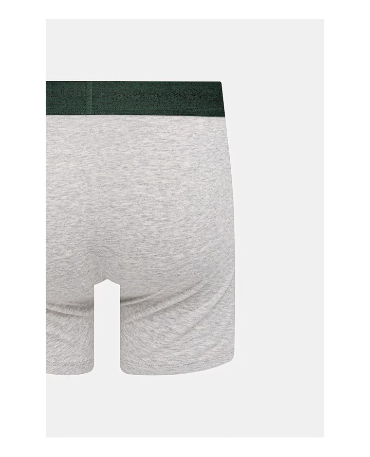 Levi's® Basic Boxer Brief - 2 Pack...