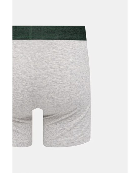 Levi's® Basic Boxer Brief - 2 Pack 371491296