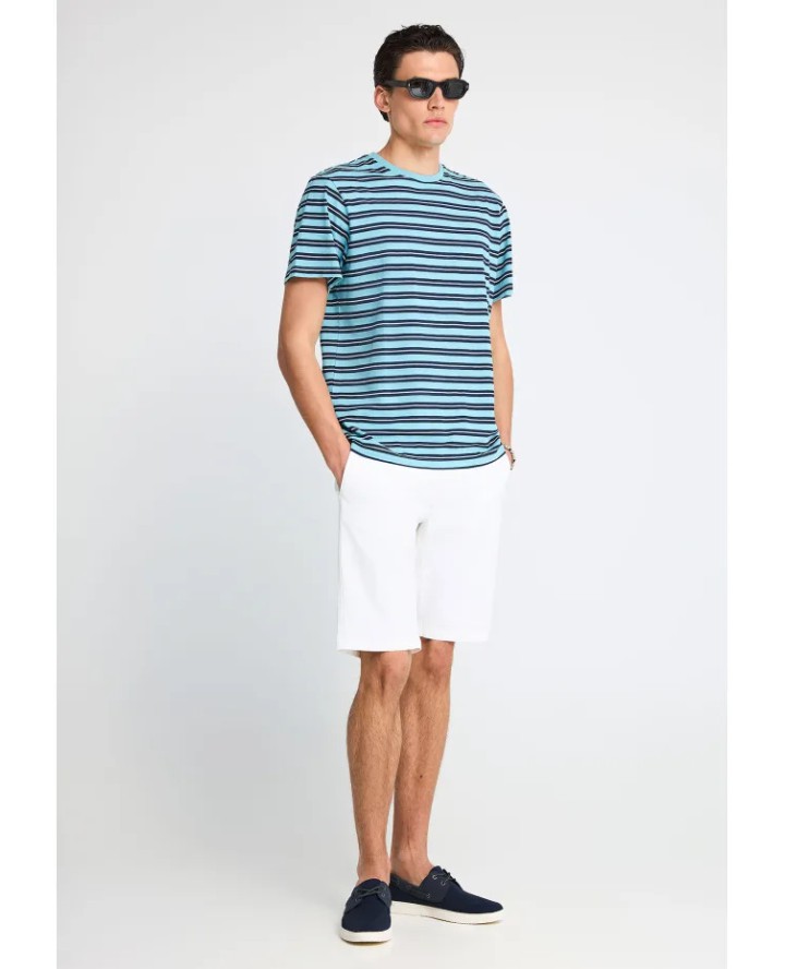 FUNKY BUDDHA  Ανδρικό ριγέ t-shirt...