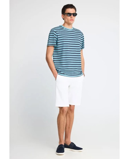 FUNKY BUDDHA  Ανδρικό ριγέ t-shirt από βαμβάκι FBM013-303-04 RETRO BLUE